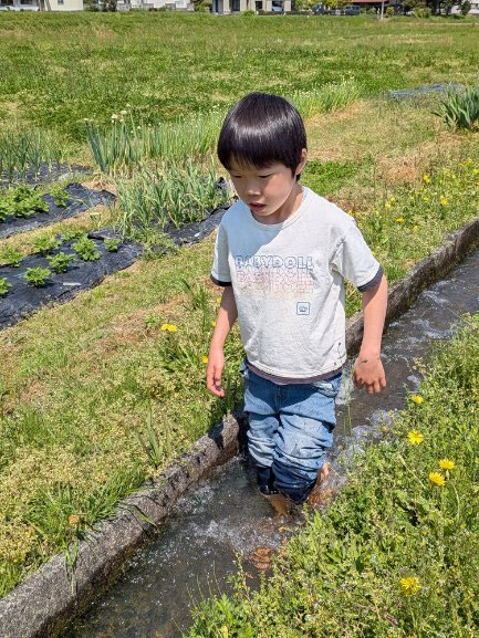 5月の春日学園